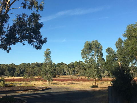 Junee Motor Inn - E Caravan Parks 24