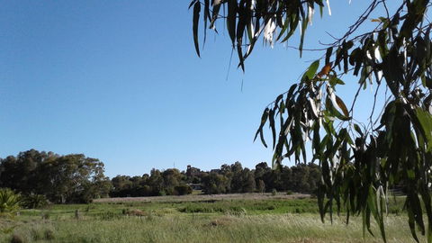 Junee Motor Inn - E Caravan Parks 8