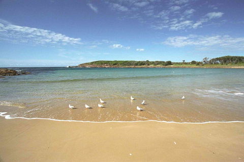 On The Beach Getaway - E Caravan Parks 12