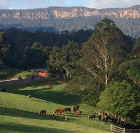 Amaroo Valley Springs - E Caravan Parks