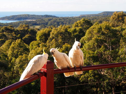 Bundle Hill Cottages - E Caravan Parks 2
