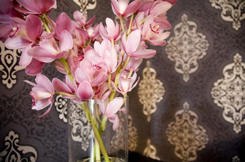 Hotel Challis Potts Point - E Caravan Parks 14