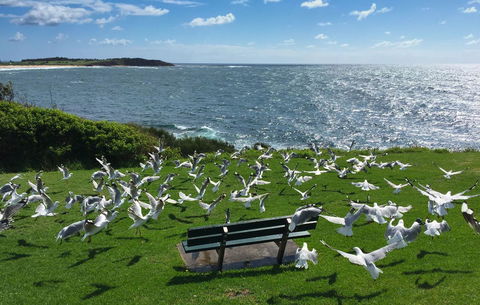 Waterview Beach Apartment - E Caravan Parks 25