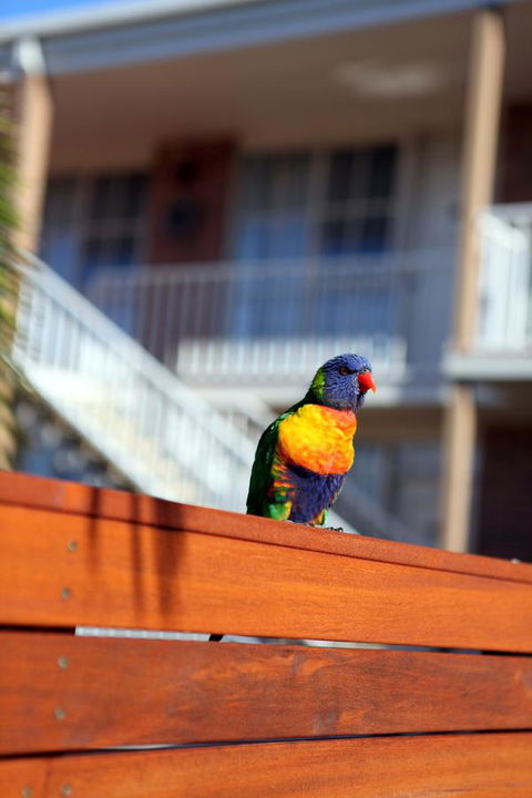 Summerhill Motor Inn - E Caravan Parks 30