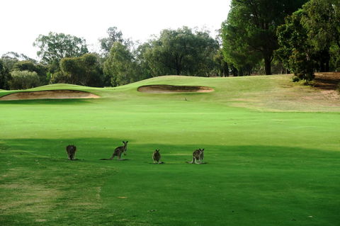 Mulwala Resort - E Caravan Parks 40