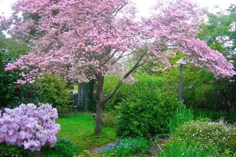 Dangal Gardens - E Caravan Parks 3