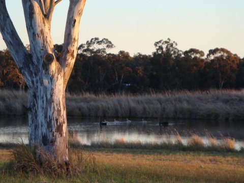 Adina Vineyard - E Caravan Parks 10