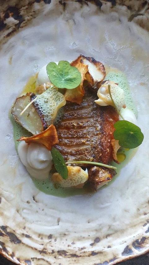 Adina Vineyard - E Caravan Parks 3