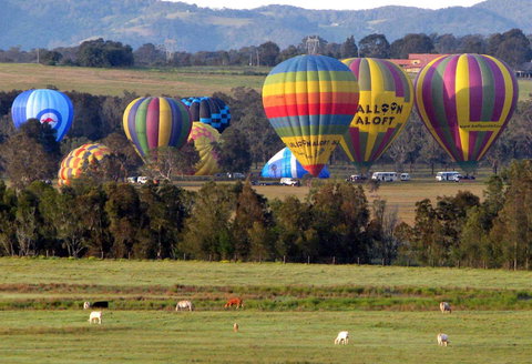 Adina Vineyard - E Caravan Parks 9