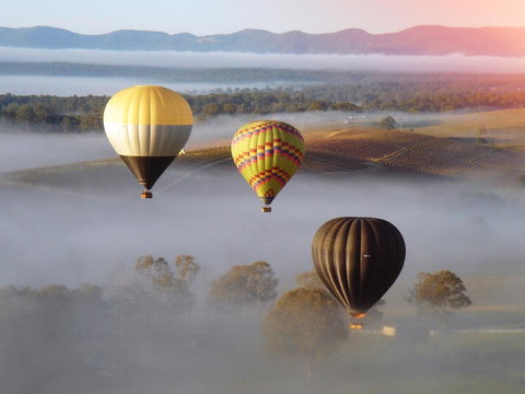 Adina Vineyard - E Caravan Parks 21