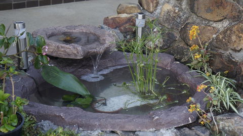 Highway Motor Inn Taree - E Caravan Parks 41