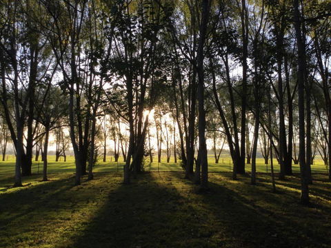 Moruya Motel - E Caravan Parks 39