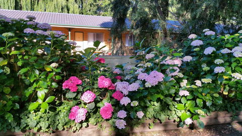 Moruya Motel - E Caravan Parks 28