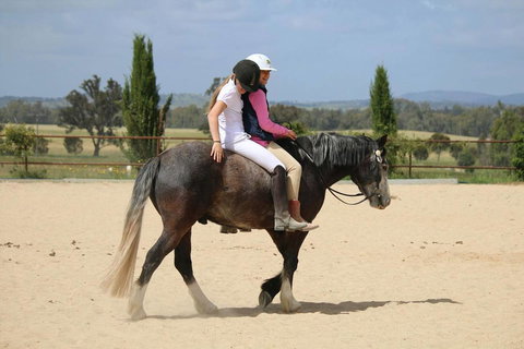 Belisi Farmstay Cottage - E Caravan Parks 28