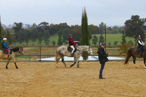 Belisi Farmstay Cottage - E Caravan Parks 34