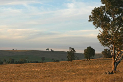 Belisi Farmstay Cottage - E Caravan Parks 33