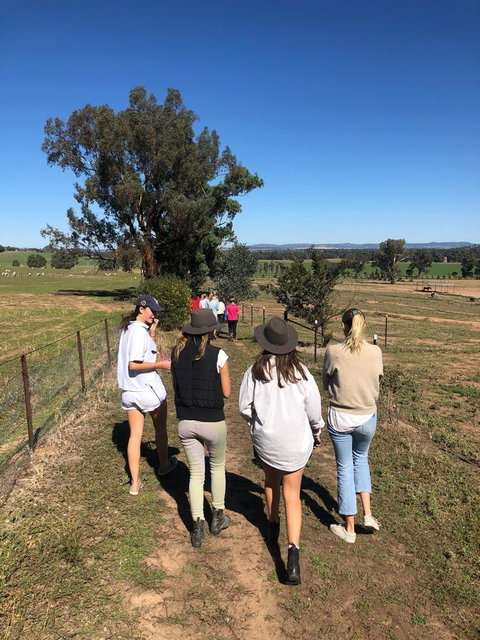 Belisi Farmstay Cottage - E Caravan Parks 7