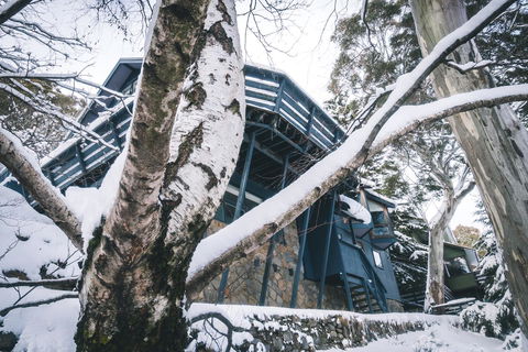 Pure Chalet Thredbo - E Caravan Parks 21