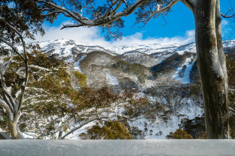 Pure Chalet Thredbo - E Caravan Parks 17