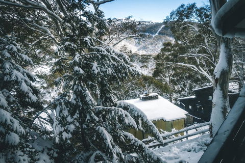 Pure Chalet Thredbo - E Caravan Parks 34
