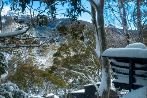 Pure Chalet Thredbo - E Caravan Parks 30
