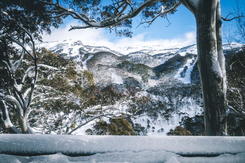 Pure Chalet Thredbo - E Caravan Parks 2