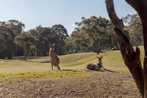 Horizons Retreat & Golf, Villa 133 - E Caravan Parks 18