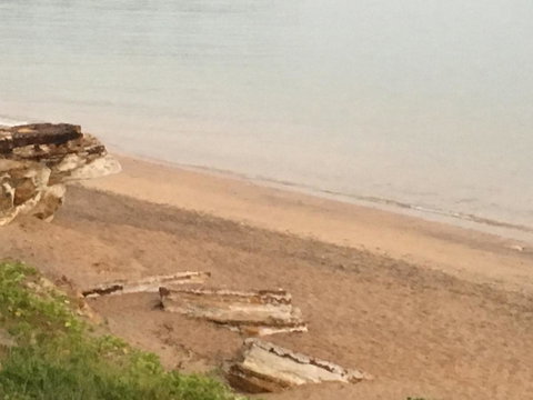Nightcliff Foreshore Getaway - McKay Gardens - E Caravan Parks 28