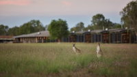Book Point Stuart Accommodation Vacations E Caravan Parks E Caravan Parks