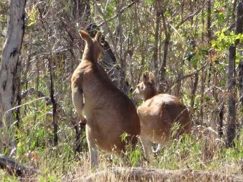 Mount Bundy Station - E Caravan Parks 40