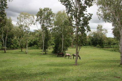 Mount Bundy Station - E Caravan Parks 25