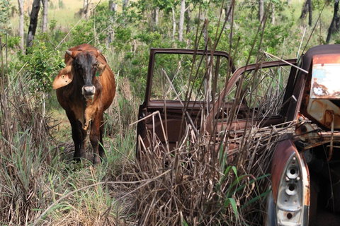 Mount Bundy Station - E Caravan Parks 42