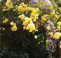 Bowral Road Bed and Breakfast - E Caravan Parks