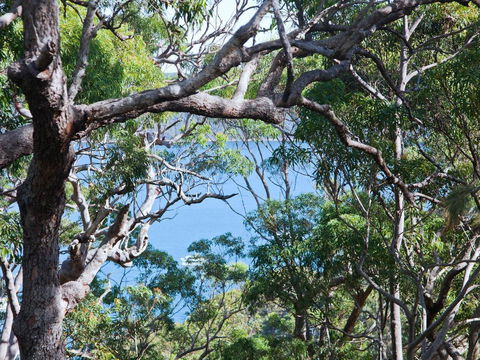 Bynya - 100m To Jonahs! - E Caravan Parks 1