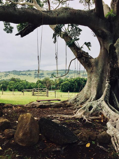 BYRON BAY New! SUNSET COTTAGE - E Caravan Parks 3