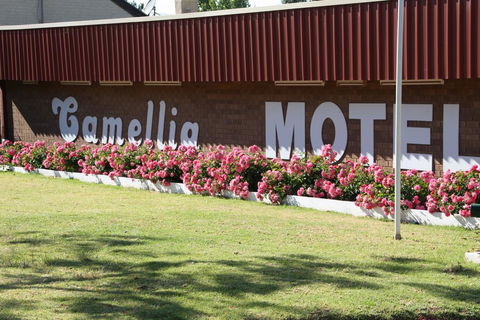 Camellia Motel - E Caravan Parks 2