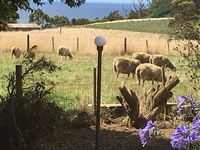 Book Table Cape Accommodation Vacations E Caravan Parks E Caravan Parks