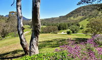 Book Capertee Accommodation Vacations E Caravan Parks E Caravan Parks