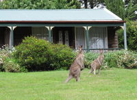 Book Mount Victoria Accommodation Vacations E Caravan Parks E Caravan Parks