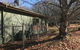 Chestnut Glade - thumb 1