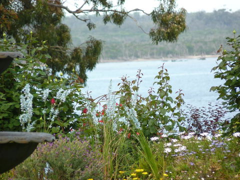 Clovelly Cottage - E Caravan Parks 3