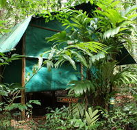 Daintree Crocodylus - E Caravan Parks