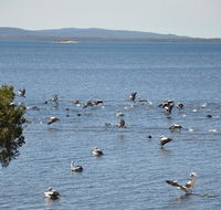 Denmark Waters BB - E Caravan Parks