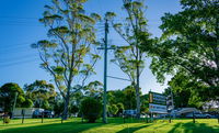 Book Dorrigo Accommodation Vacations E Caravan Parks E Caravan Parks