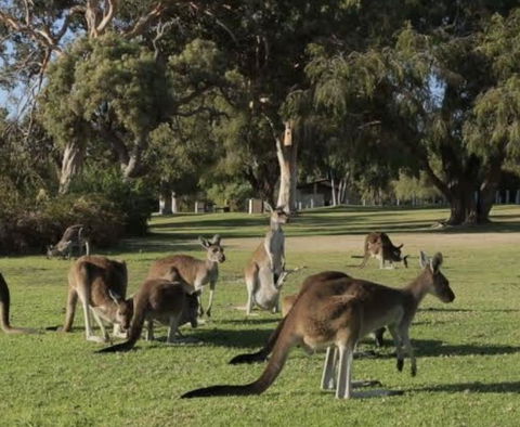 Eastern Hill Creswick - E Caravan Parks 1