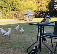 Eildon Parkview Motor Inn