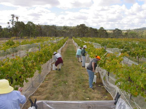 Fergies Hill Spa Cottage @ Granite Ridge Wines - E Caravan Parks 2