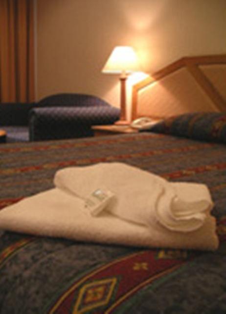 Goulburn Central Motor Lodge - E Caravan Parks 3