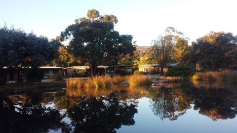 Halls Haven Resort - E Caravan Parks 1