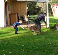 Kalgan River Chalets and Caravan Park